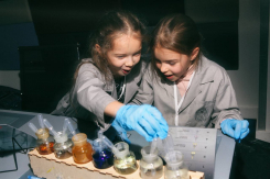 Новогодний праздник знаний и экспериментов пройдет в Краснодаре