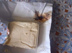 Краснодарцев пытались накормить маслом с мухами и мясом с личинками червей