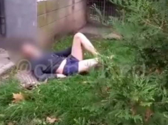 Замерзший «скалолаз» в семейниках упал с высоты во дворе Краснодара