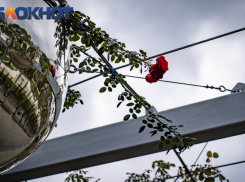 Южный ветер пригонит дождевые тучи в Краснодар