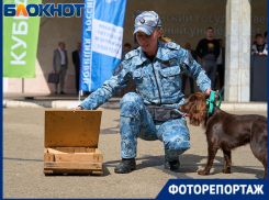 Чемоданчик криминалиста и выступление кинолога: МВД открыло выставку на площадке КубГАУ