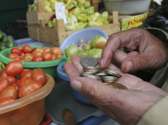 На Кубани продолжают расти цены на продукты