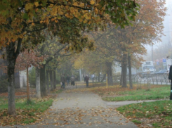 Туман в Краснодаре эксперты назвали радиационным 