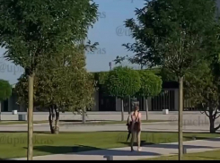 Девушка прошлась по парку «Краснодар» голой 