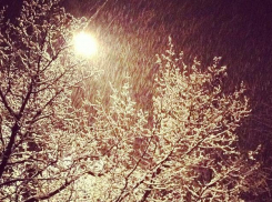 На Кубани «треснут» морозы: будет бушевать метель