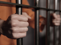 Большинство краснодарцев не против Нового года в тюрьмах