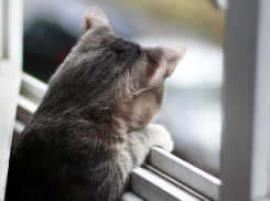 В воскресенье на Кубани пасмурно, пройдут дожди