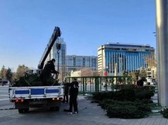 Стартовала установка главной новогодней ёлки Краснодара 