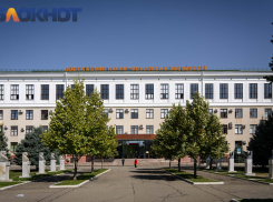 Стоимость выросла на полсотни: какие профессии оказались самыми дорогими в КубГАУ