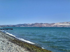 Где в Краснодарском крае можно экономно отдохнуть