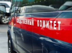СК проводит проверку по факту гибели 2-летней девочки на Кубани