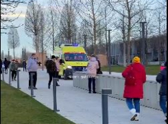 Скорая помощь и гигантская очередь в Японский сад: в Рождество краснодарцы чуть не разнесли парк Галицкого