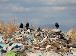 На Кубани нашли 55 нелегальных свалок 