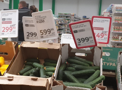 В Краснодаре огурцы стали дороже куриного мяса
