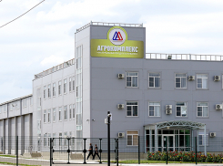 Предприятия экс-губернатора Кубани под ударом ФАС: сколько заработали сахарные компании-нарушители Ткачева 