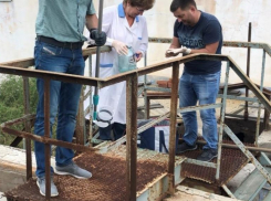 Темрюкский водоканал незаконно сбрасывал сточные воды в море