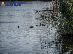 Начало весны принесет дожди в Краснодар