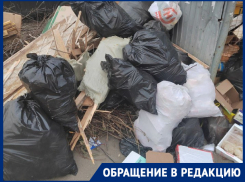 Жители Краснодара обратились к властям из-за мусорного бардака