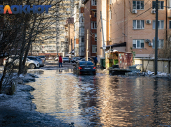Глава СКР Бастрыкин взял на контроль обращение жителей Музыкального микрорайона 