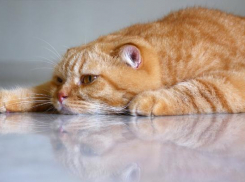 Дождливо и снежно будет 20 декабря на Кубани 