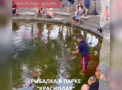 Мальчик в парке «Краснодар» ловил рыб в пруду - видео
