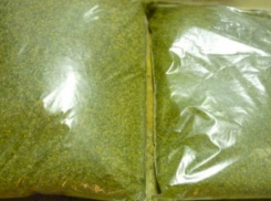 10 лет колонии грозит за хранение дикой конопли 28-летнему жителю Кубани