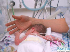 Краснодарские врачи выходили 460-граммового ребенка