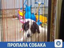 Пропал член семьи в Краснодаре, помогите найти