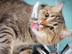 Более 4 тысяч домов в Сочи отключат от воды из-за вреда экологии