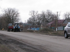 Жителей Ейского района возмутила массовая вырубка деревьев 