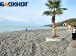 Мэр Сочи озвучил главные проблемы города-курорта