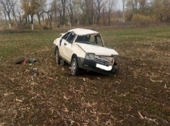 На Кубани в ДТП пострадали двое малолетних детей 