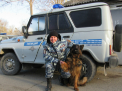 Пес «Капитан Рэкс» разоблачил банду воров-домушников из Северского района