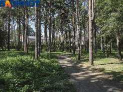 В Краснодарском крае объявили о чрезвычайной пожарной опасности