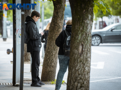 В Краснодаре зафиксировали новую волну угонов учетных записей в Telegram и WhatsApp*