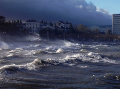 В Новороссийске из-за ураганного ветра объявили экстренное предупреждение 
