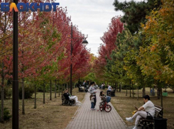 В Краснодаре назвали главные новости 19 марта