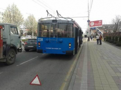 Обрыв ЛЭП помешал троллейбусу продолжить маршрут