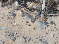 Новый выброс мазута на берег обнаружили в Краснодарском крае