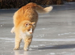 Снег, дождь и сильный ветер обрушатся на Кубань