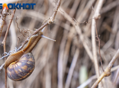 На Пасху в Краснодаре будет облачно, ветрено и тепло