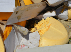 В Краснодаре засыпали хлоркой килограммы санкционного сыра