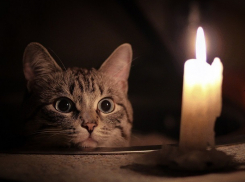 Без света на 2 дня останутся 12 тысяч жителей Новороссийска