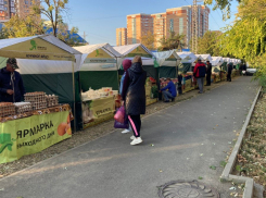 В Краснодар на ярмарки выходного дня завезли живую рыбу