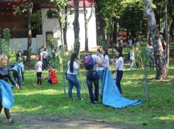 В краснодарском парке собрали более 2 тонн мусора