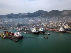 Росприроднадзор оценил ущерб от разлива нефти у Новороссийска в пять миллиардов
