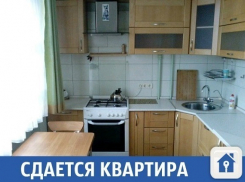 Уютная квартира сдается в Краснодаре