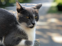 От -2 до +21 градуса: какой будет погода в Краснодарском крае 10 апреля