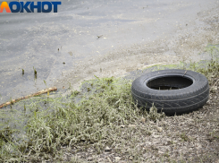 В Краснодаре расчистят берег реки Кубань