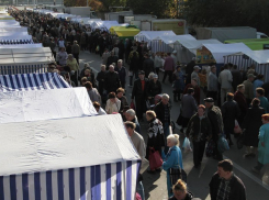  Ярмарки выходного дня в Краснодаре будут работать 29 и 30 декабря 